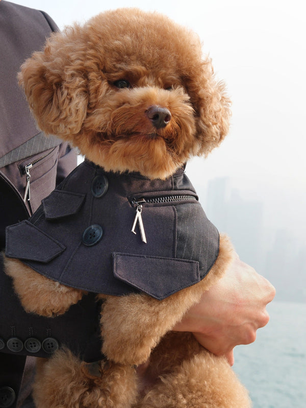 Military Blazer - Pet's Scarf